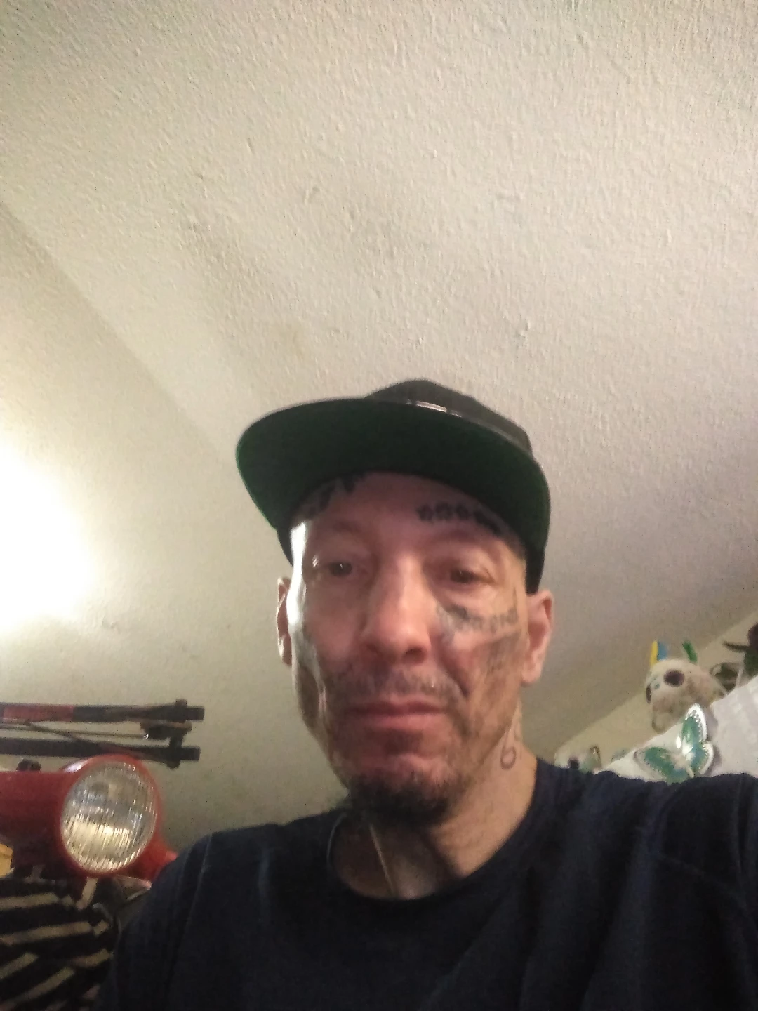 David Tonner profile