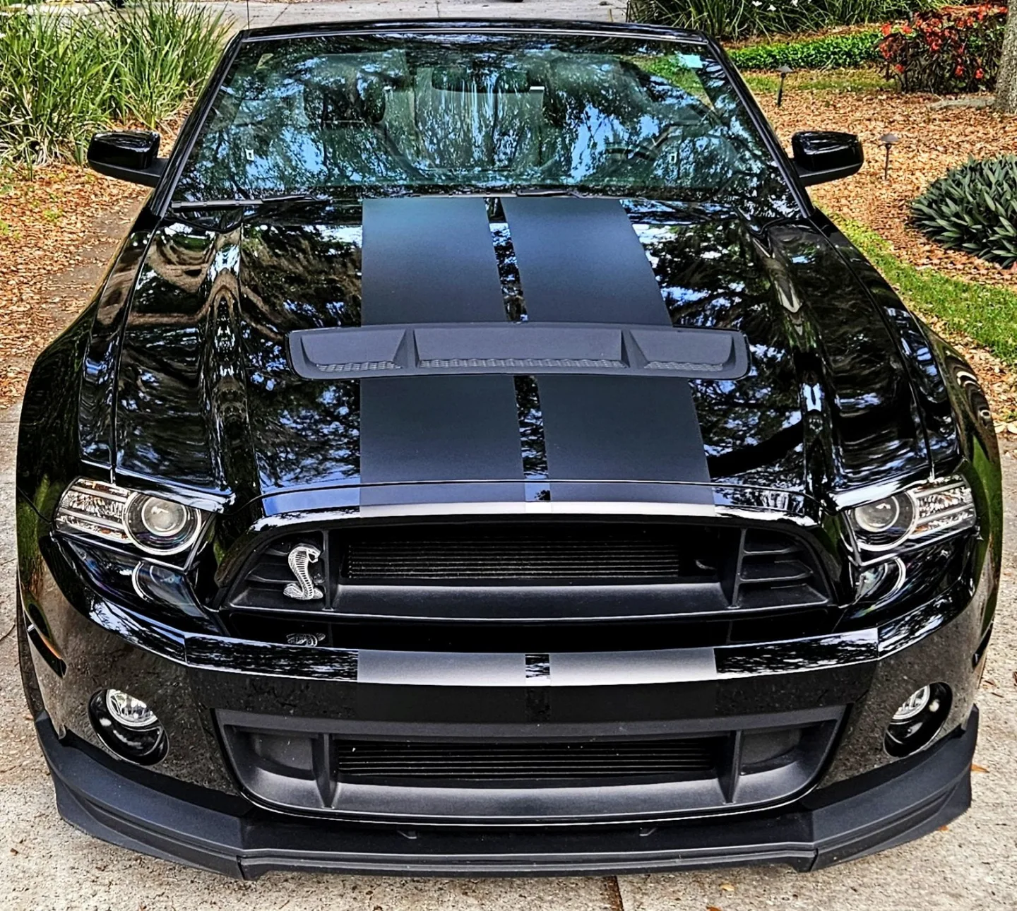 Chicagoan 86 profile