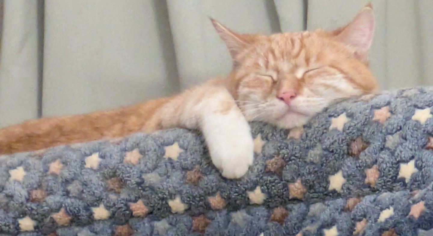 Valerie R Saddler profile