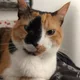 Kat profile