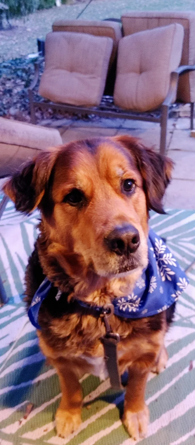 Aaron Mckenzie profile