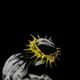 Maron profile