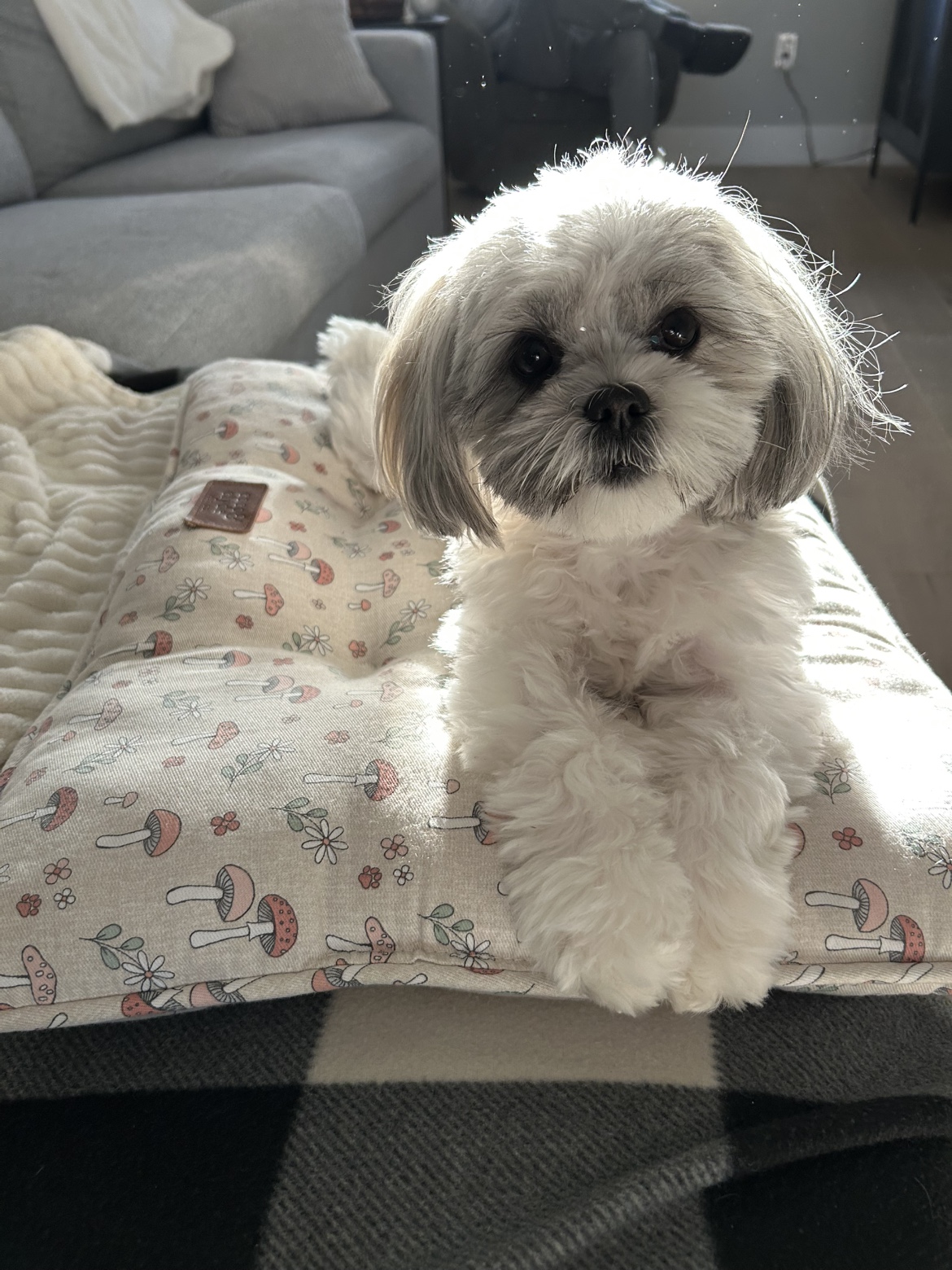 Mel