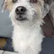 SalePele profile