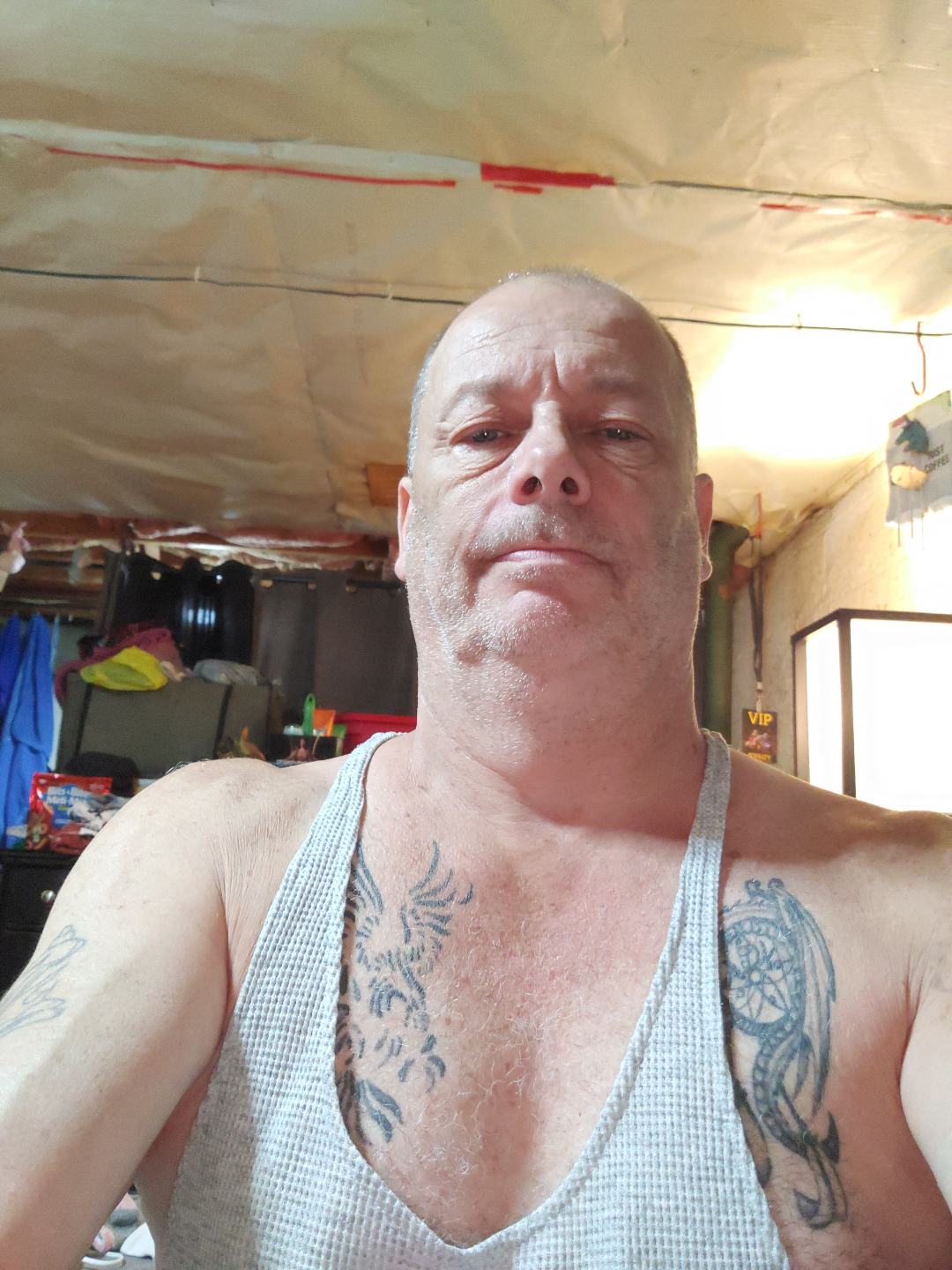 William Maclean profile