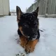 Drake profile