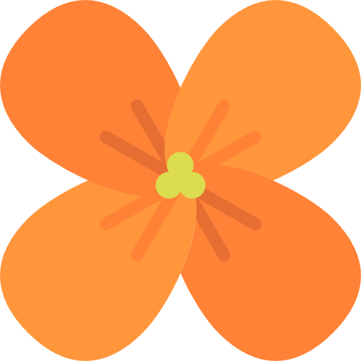 Chocolate Daisy profile