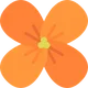 Chocolate Daisy profile
