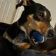 Sam profile