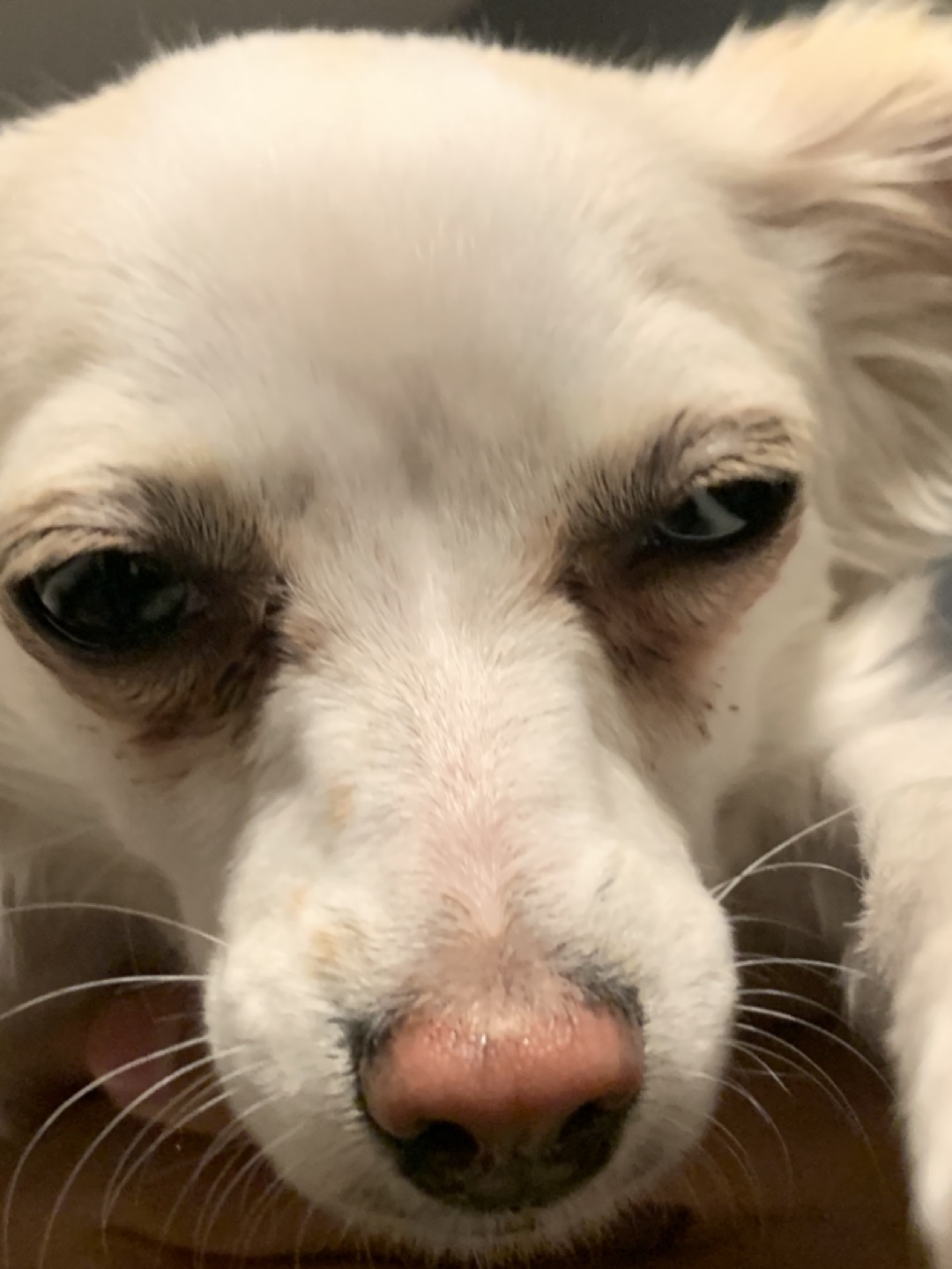 Kaleb solorzano profile