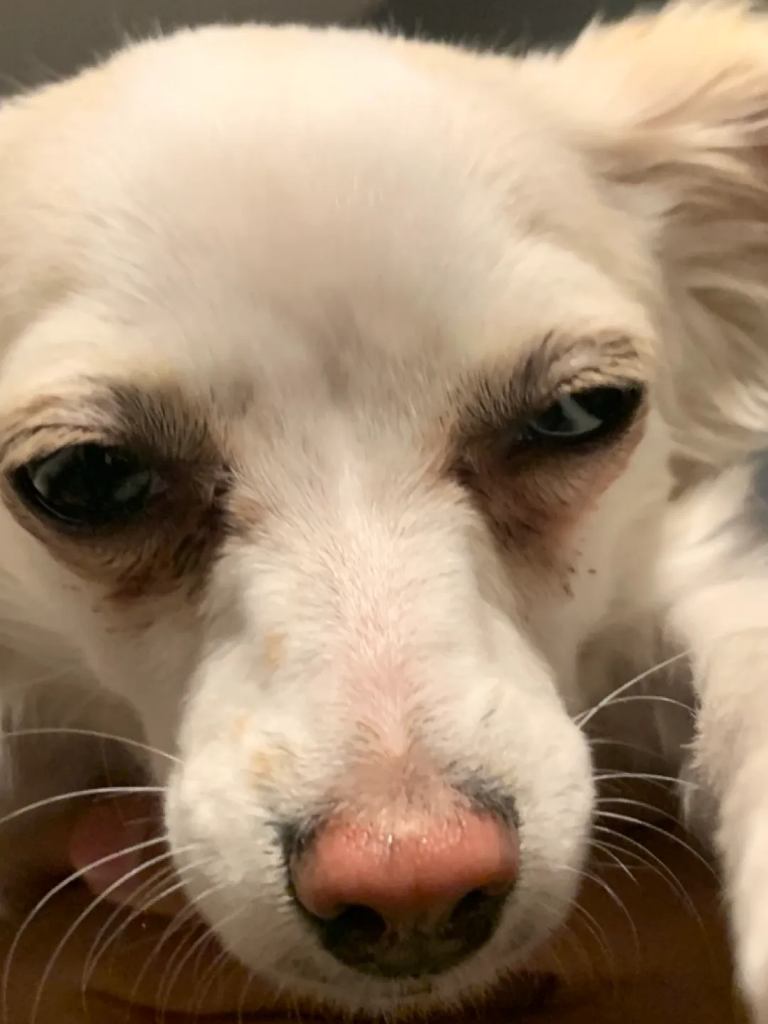 Kaleb solorzano profile