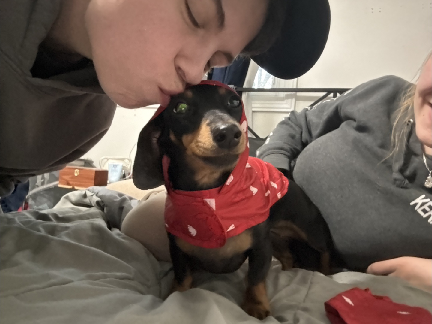 Paxton profile
