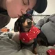 Paxton profile