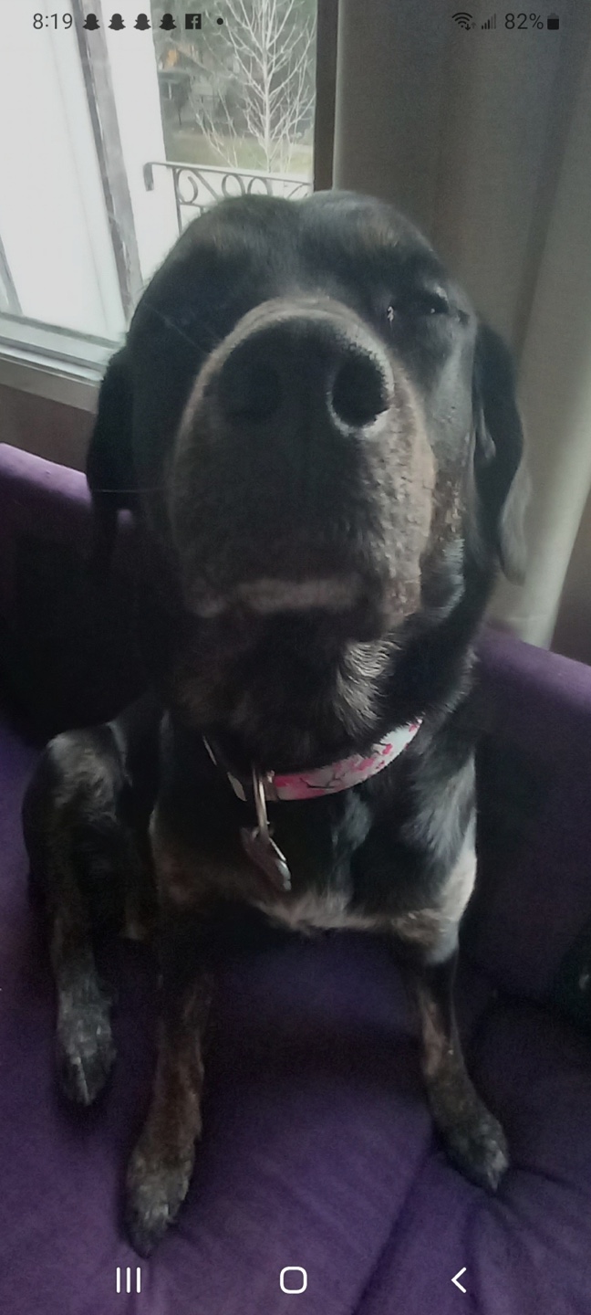 Jase profile