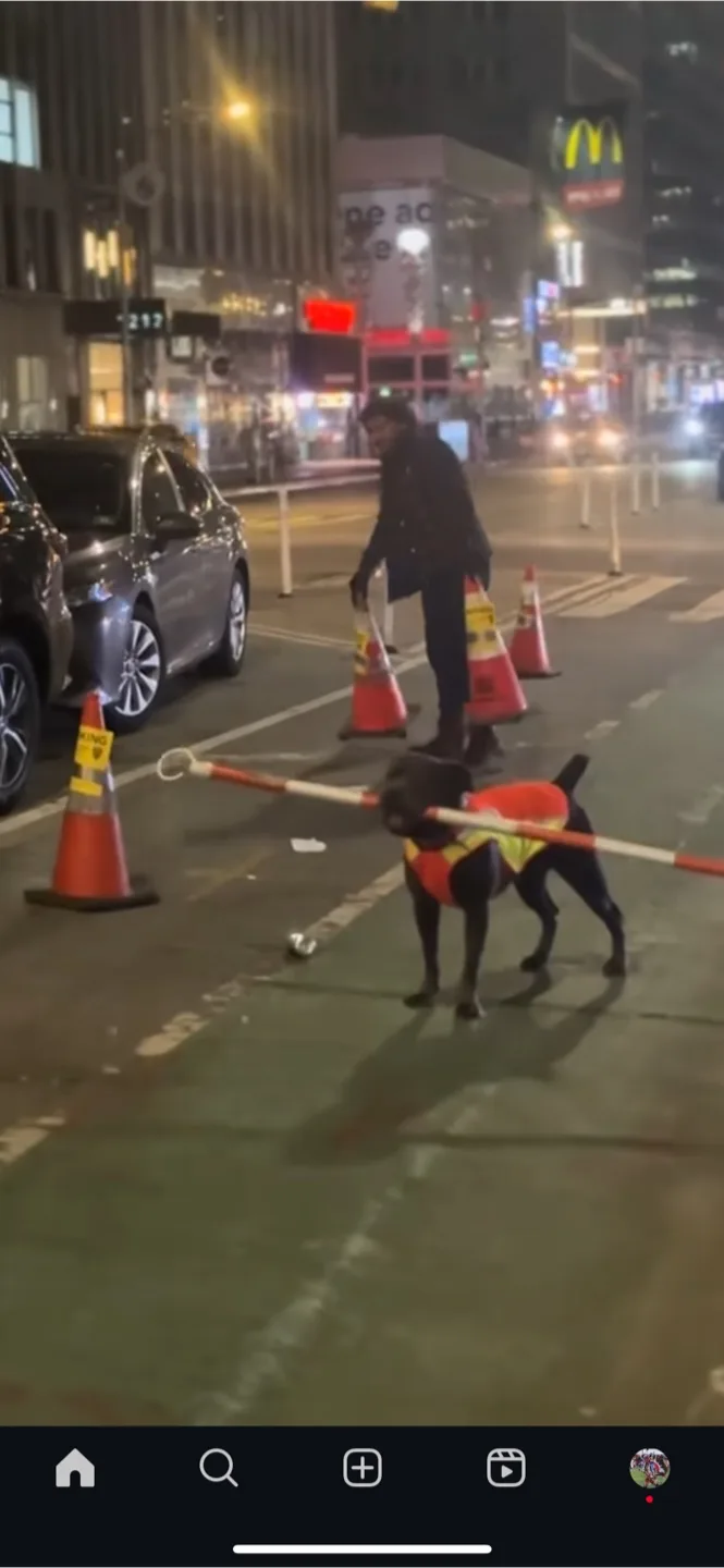 Alberto mellado profile