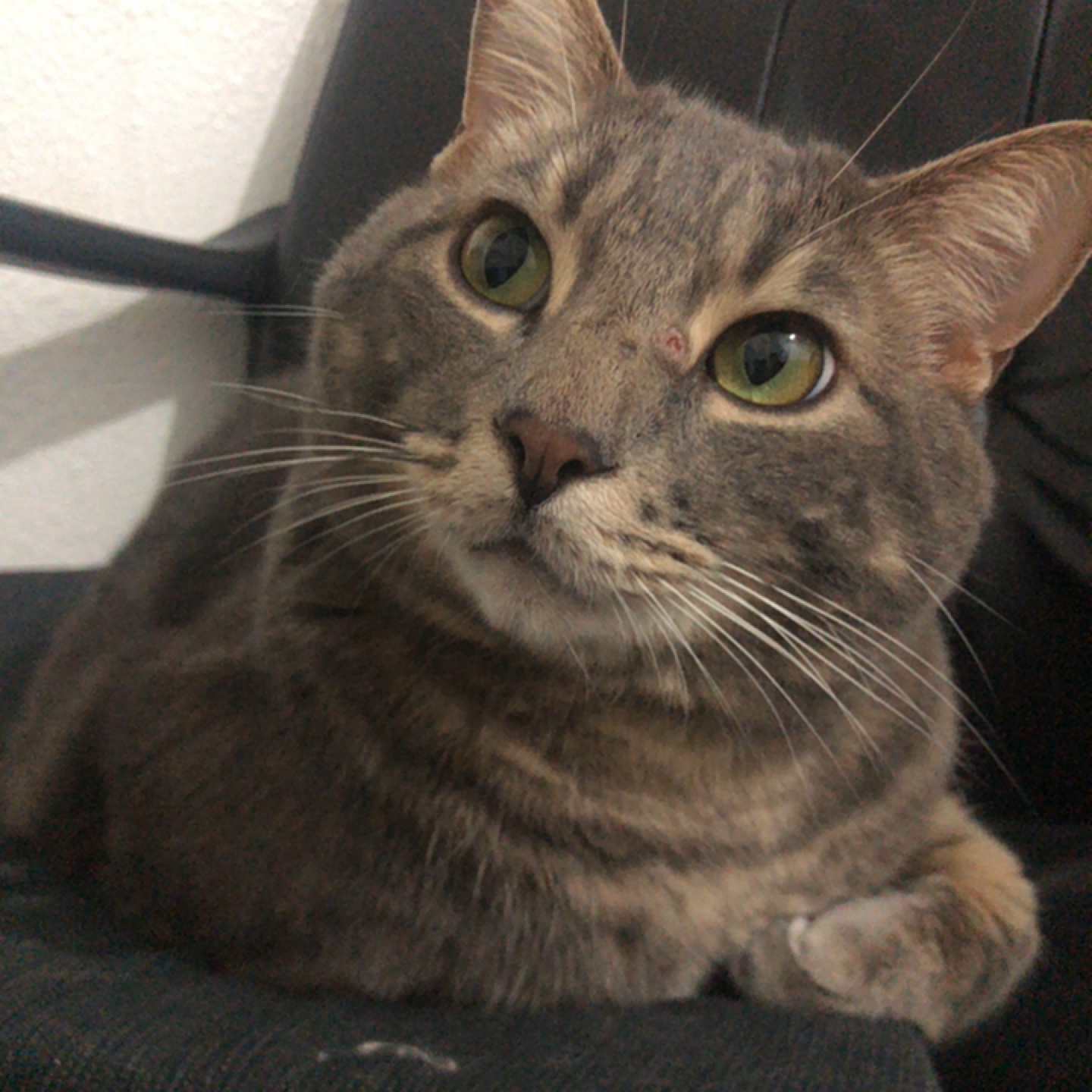 Marco