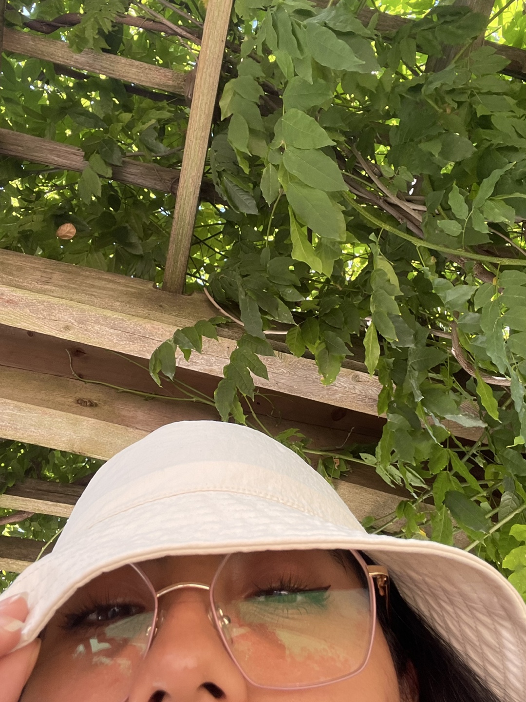 Brenda profile
