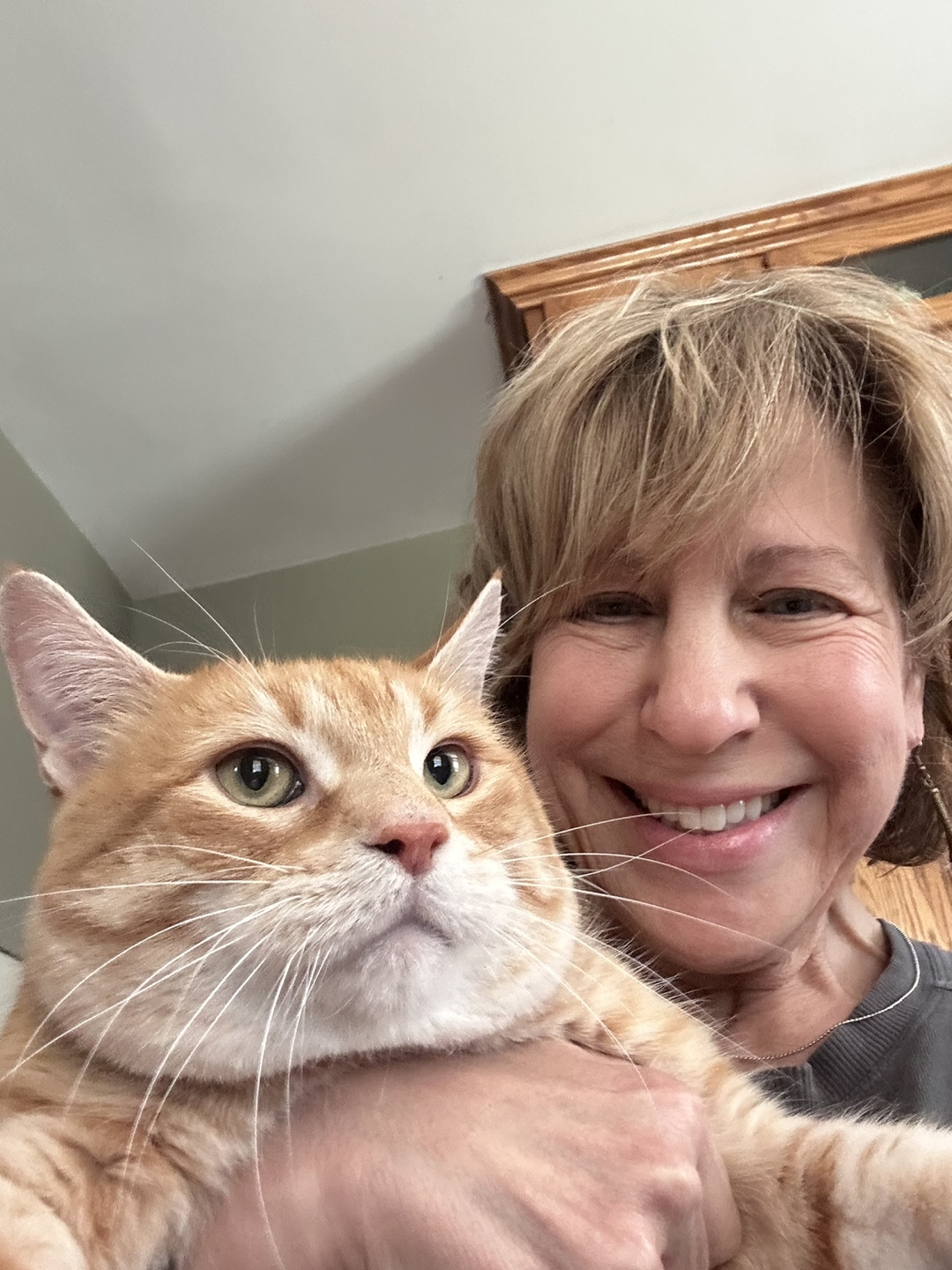 Sheri profile