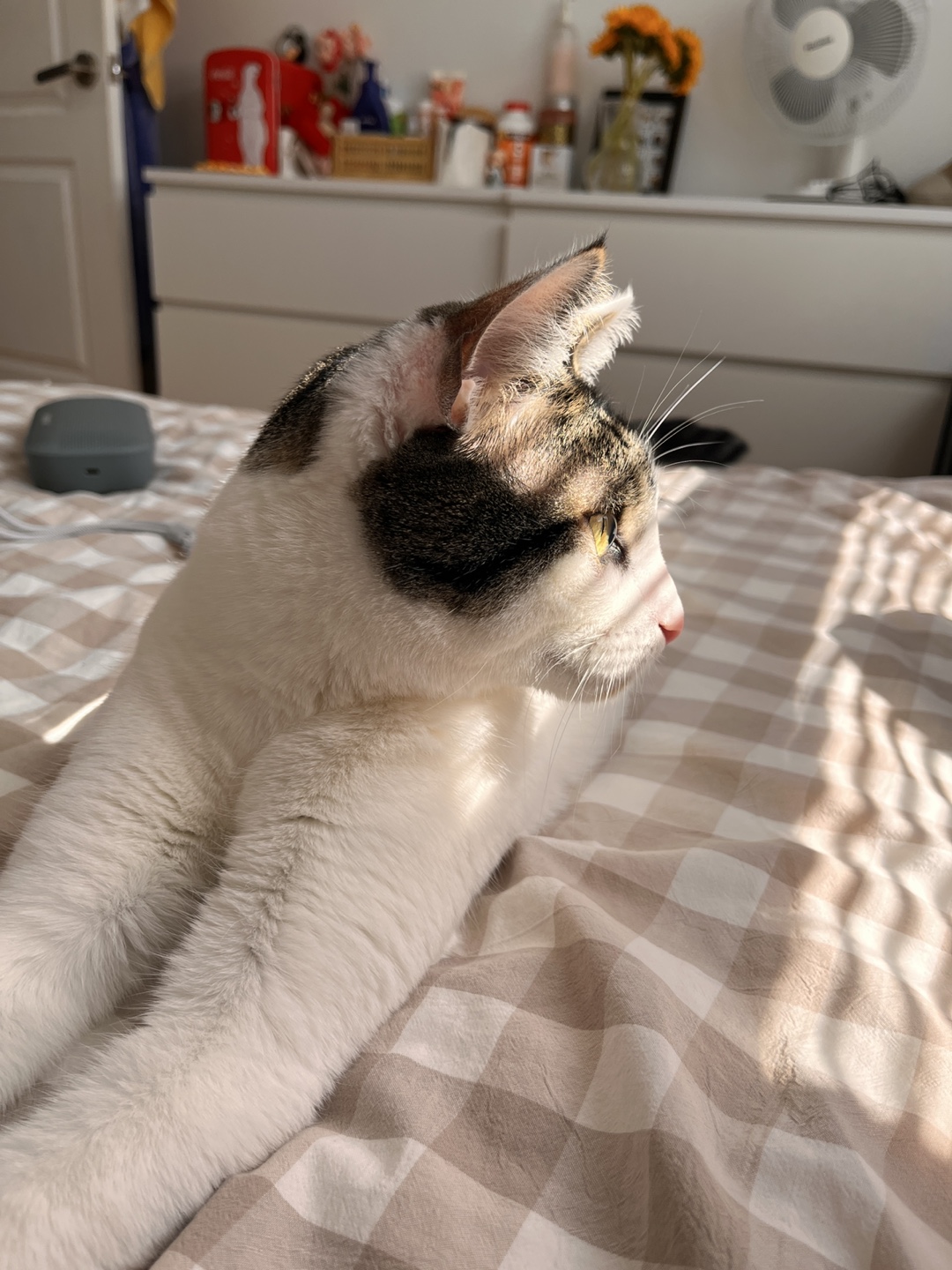 Eunice profile