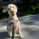 Jo profile