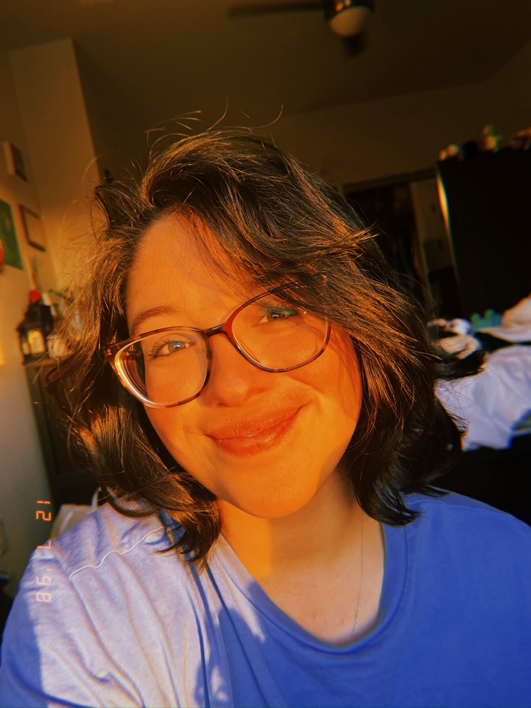 Paloma profile