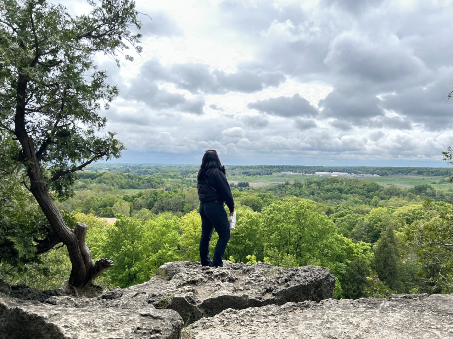 Brittany profile
