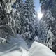 Nature Lover profile