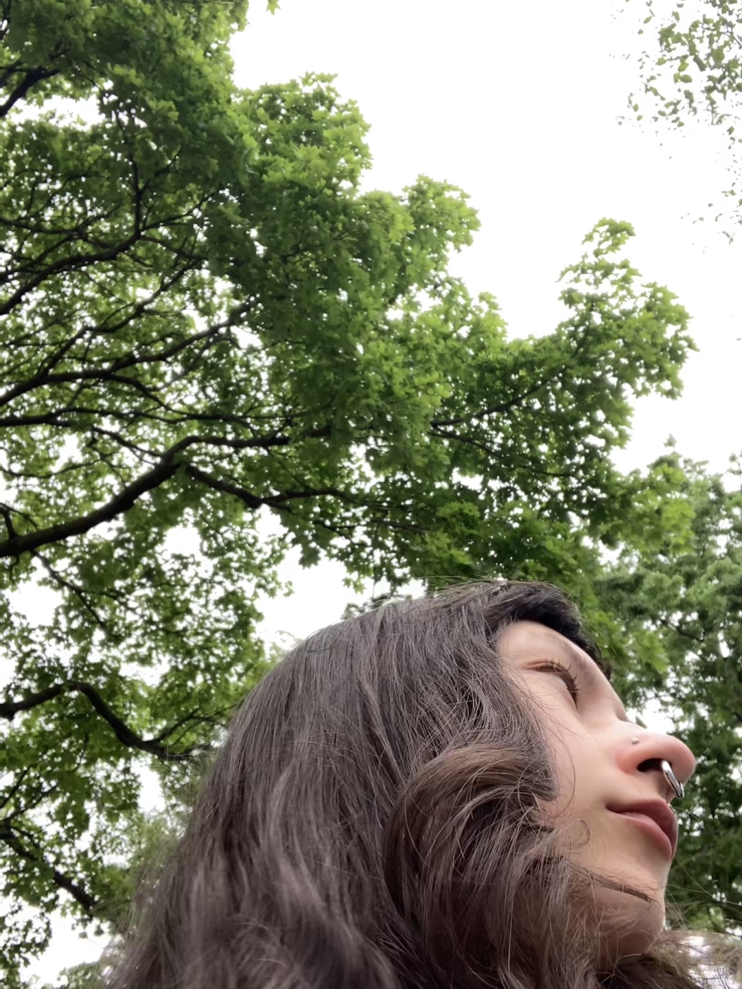 Mole profile