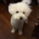Simba mom profile