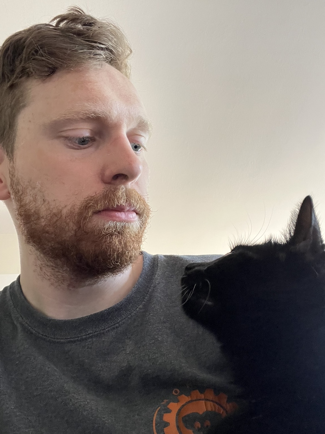 Andrew profile
