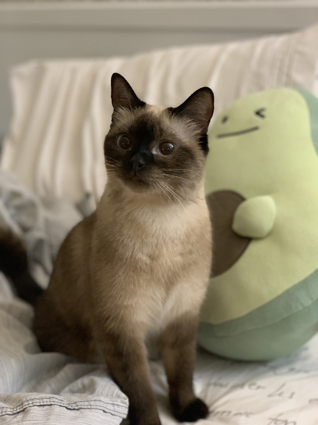 Genie profile
