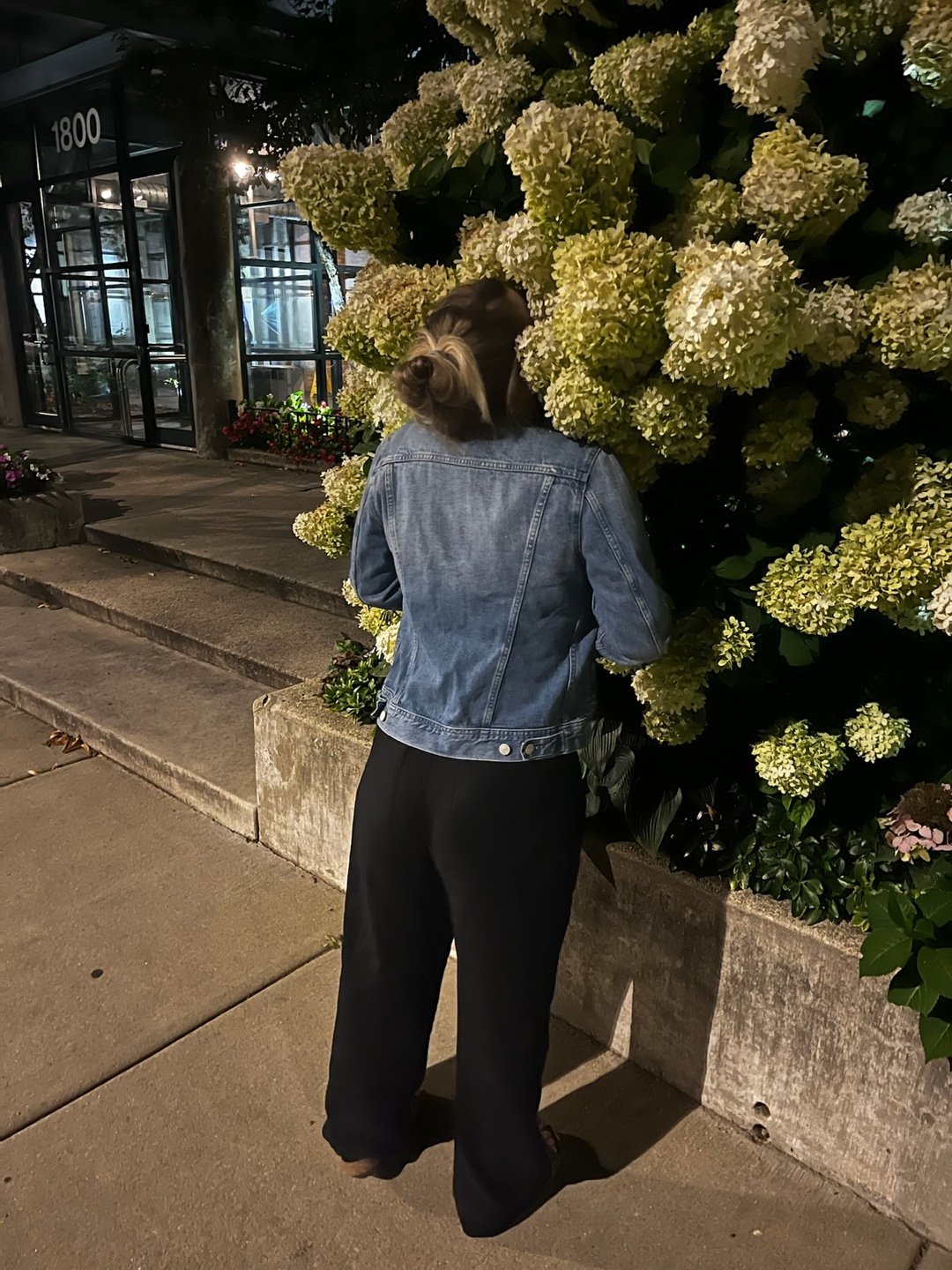 Lauren profile