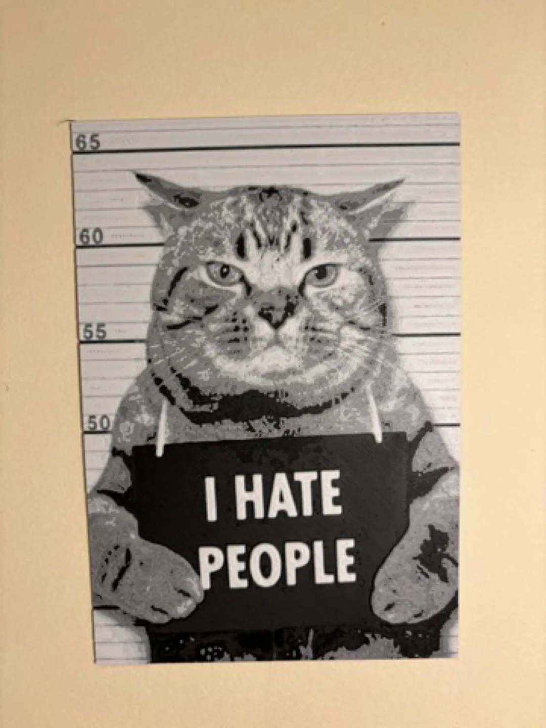 Dilpreet Ghotra profile