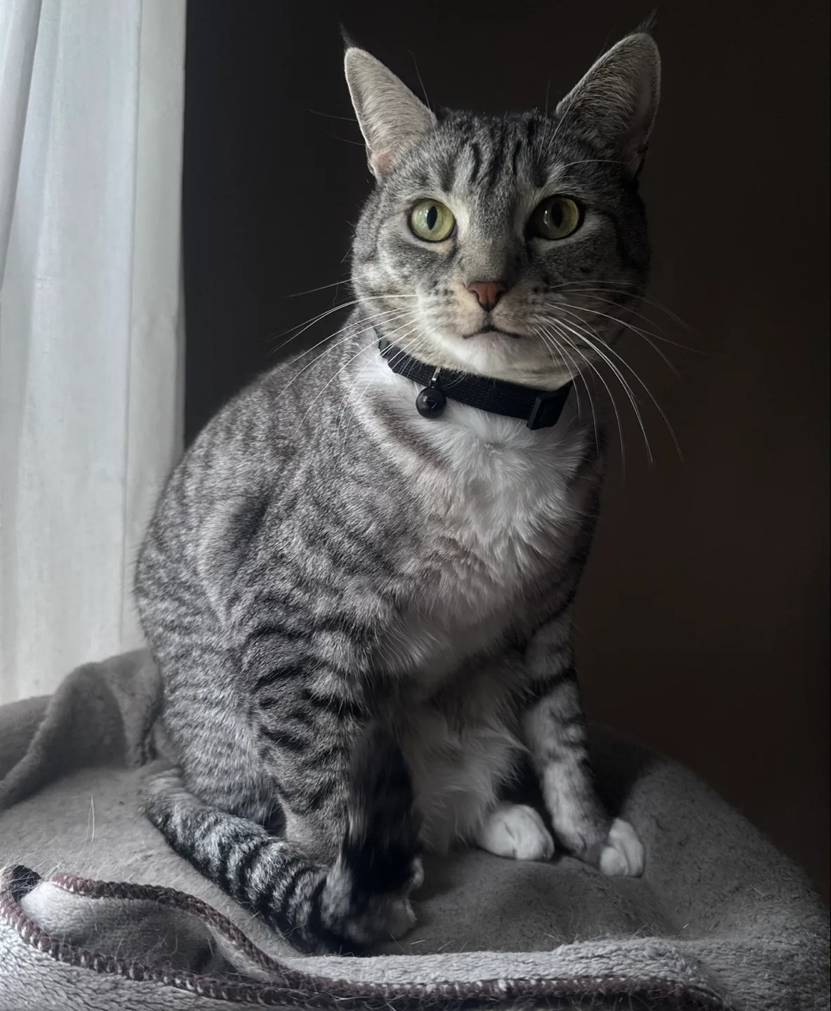 Sebastian Caldera profile