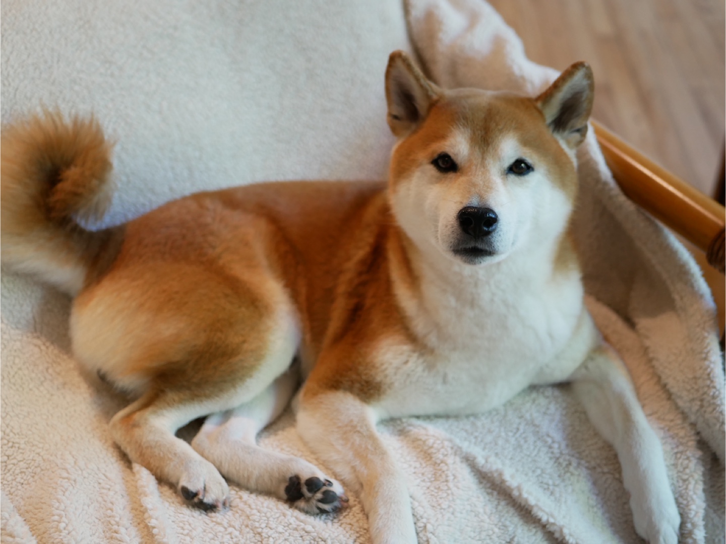 Keiko profile