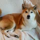 Keiko profile