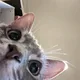 Sam S profile