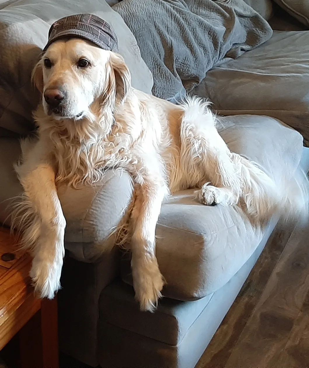 Mark it sold profile