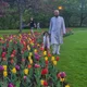 wasim profile