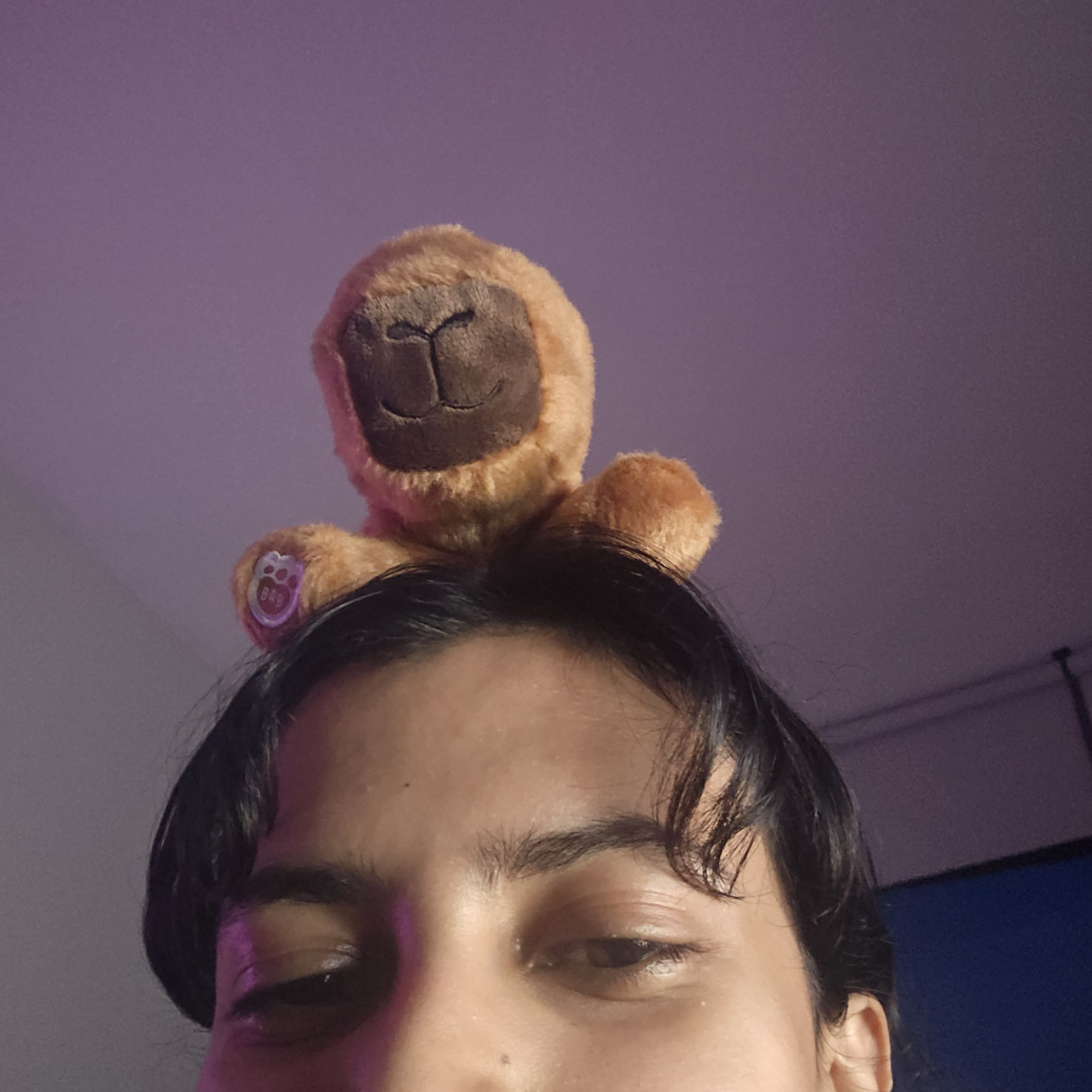 Majd profile
