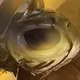 Leviathan profile