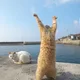 Juju profile