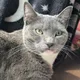 Coby profile