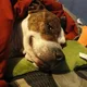 Pamda profile
