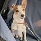 Ella profile