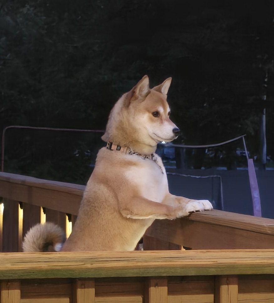 Asher profile