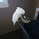 Art profile