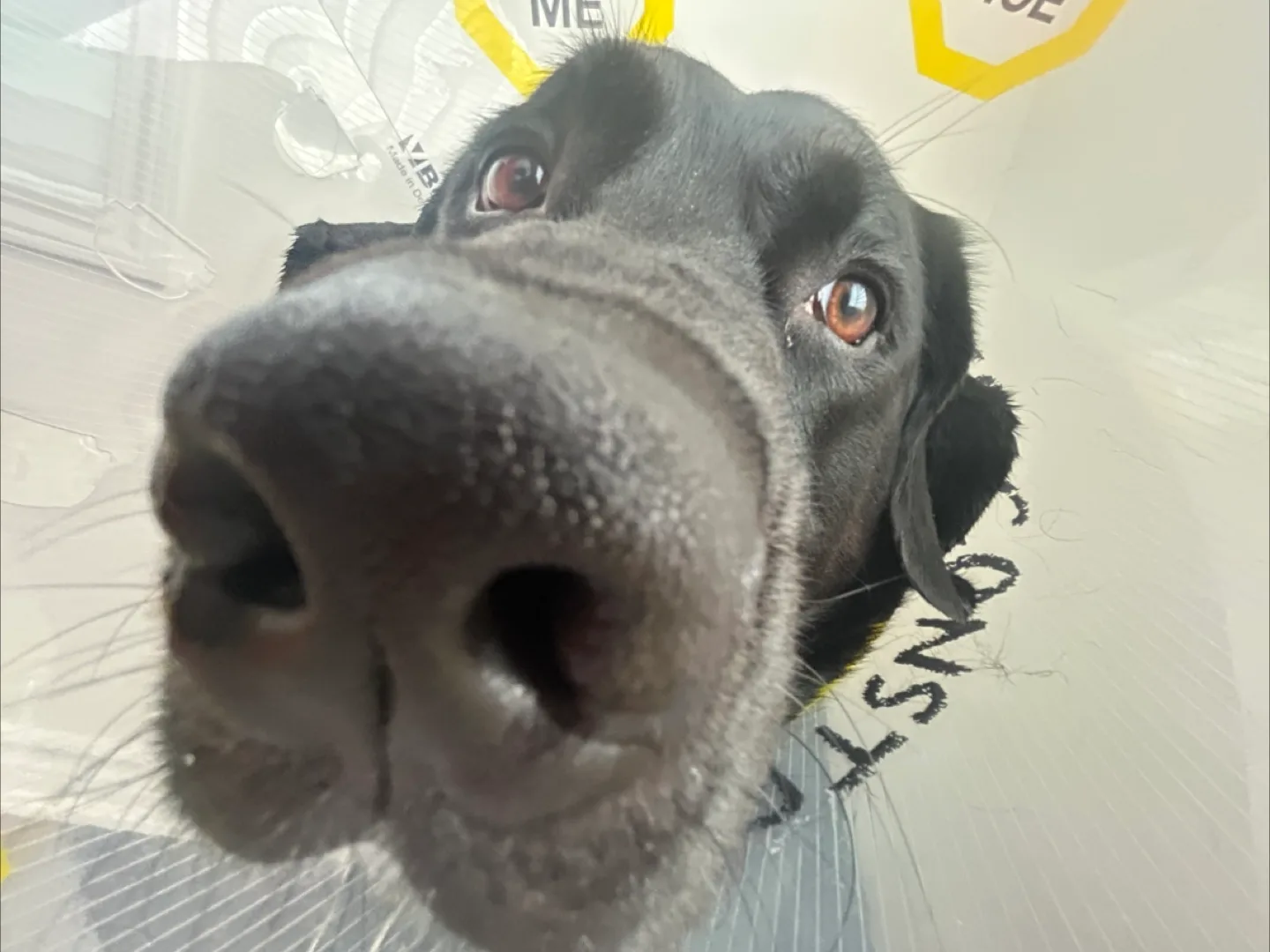 Jean Baptiste profile