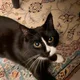 Aiden profile
