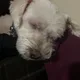 Kinga profile